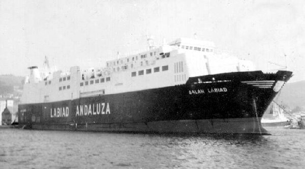 Salah Labiad - Collection L. Santa Olaya Salah Labiad - Collection L. Santa Olaya